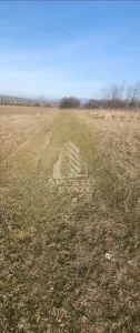 TEREN AGRICOL 1,524 HA, LA DOAR 10.000€ Comision Zero % - foto 1