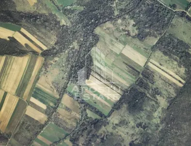 TEREN AGRICOL 1,524 HA, LA DOAR 10.000€ Comision Zero % - foto 5
