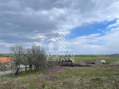 Teren intravilan pentru investitie, 2896 mp, Herneacova Timis - foto 2