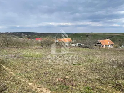 Teren intravilan pentru investitie, 2896 mp, Herneacova Timis - foto 4