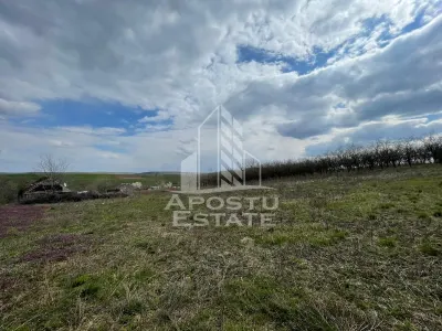 Teren intravilan pentru investitie, 2896 mp, Herneacova Timis - foto 5