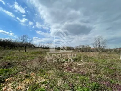 Teren intravilan pentru investitie, 2896 mp, Herneacova Timis - foto 6