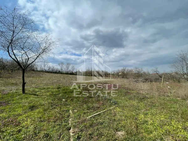 Teren Herneacova - poza 8