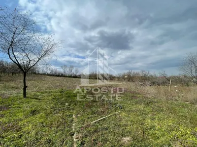 Teren intravilan pentru investitie, 2896 mp, Herneacova Timis - foto 8