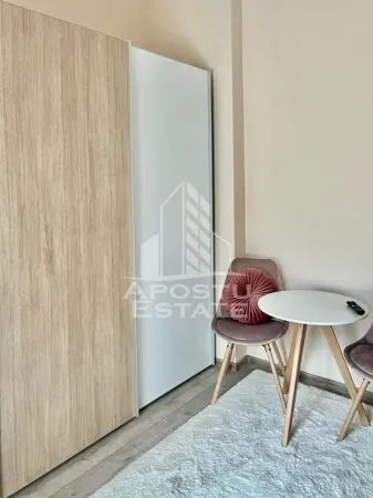 Apartament 1 camera Arad - poza 2
