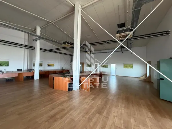 Spațiu industrial Timișoara - poza 1