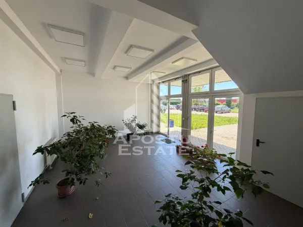 Spațiu industrial Timișoara - poza 5