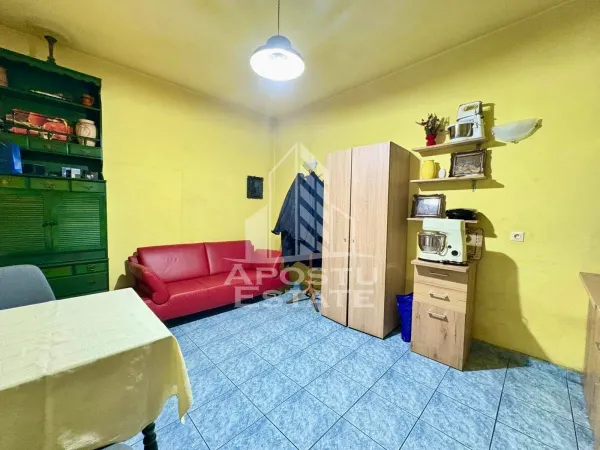 Casă 8 camere Timișoara - poza 11
