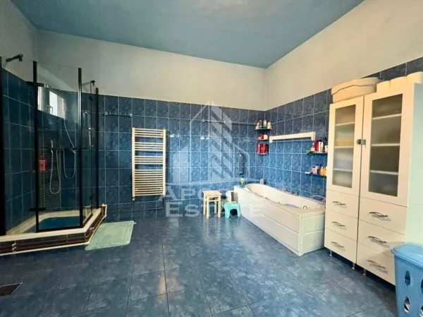 Casă 8 camere Timișoara - poza 16