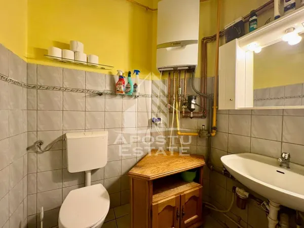 Casă 8 camere Timișoara - poza 17