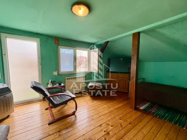 Casă 8 camere Timișoara - poza 6