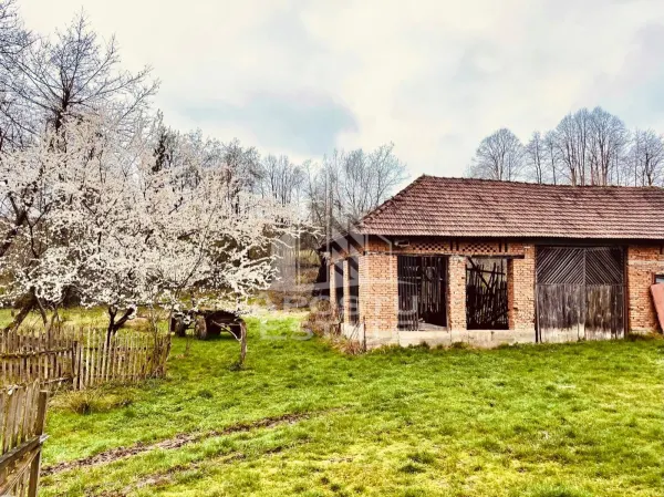 Casă 6 camere Magulicea - poza 6