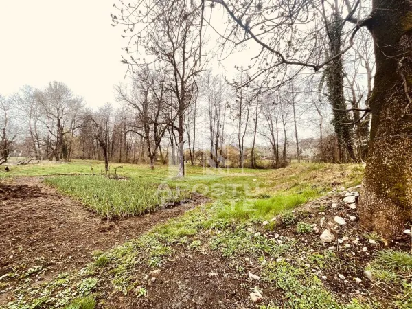 Casă 2 camere Lazuri - poza 17