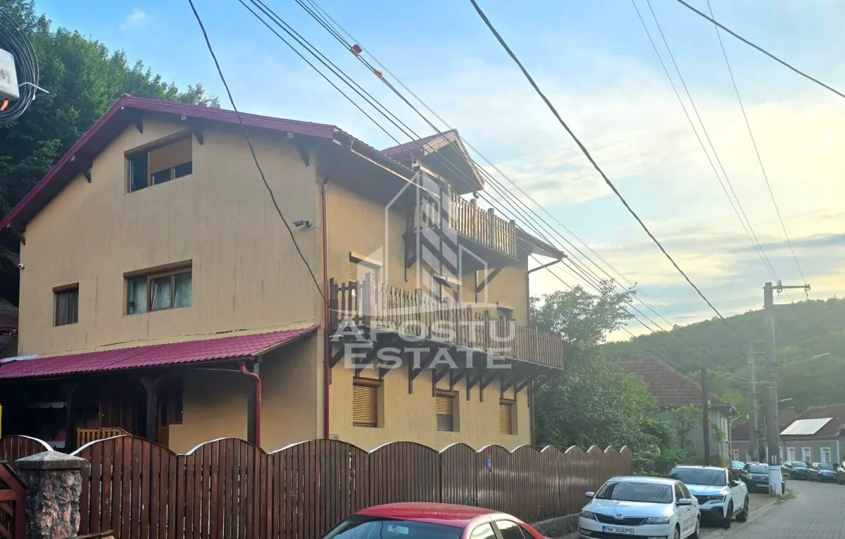 Casă 8 camere Moneasa - poza 1