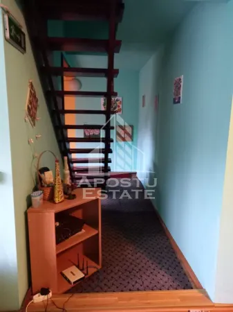 Casă 8 camere Moneasa - poza 18