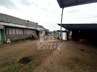 Casa veche de vanzare in Pesac, teren 1.439 mp. - foto 2