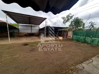 Casa veche de vanzare in Pesac, teren 1.439 mp. - foto 3