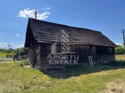 Casă 4 camere Risculita - poza 2