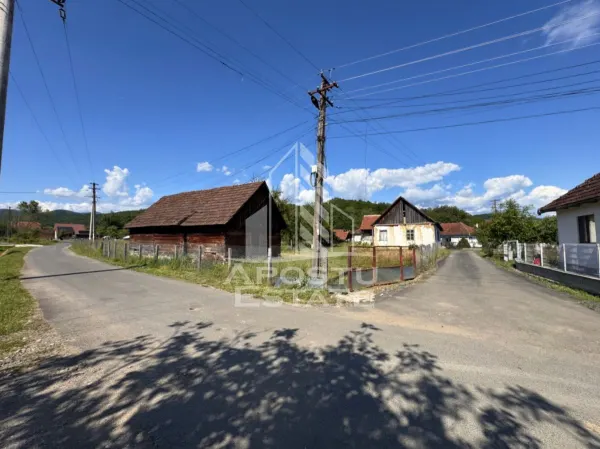 Casă 4 camere Risculita - poza 4