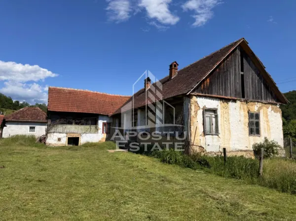 Casă 4 camere Risculita - poza 5