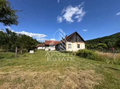 Casă 4 camere Risculita - poza 7