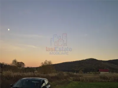 Teren intravilan de vanzare in Chicirea-Tomesti - foto 3