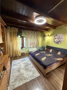 Vanzare Vila Bucurestii Noi Parc Bazilescu - foto 8