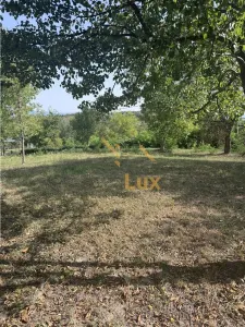 Teren intravilan de vanzare în Coruia - foto 2