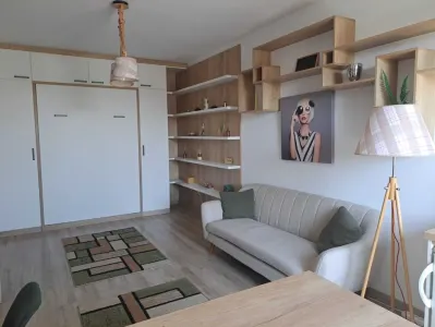 Studio modern de închiriat – Tătărași | Bloc nou | 350 €/lună - foto 2
