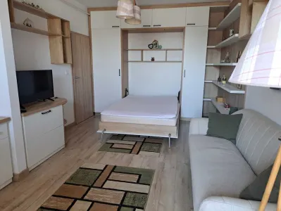 Studio modern de închiriat – Tătărași | Bloc nou | 350 €/lună - foto 3