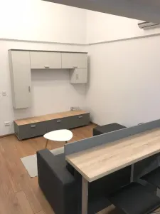 Apartament 2 camere tip duplex 50mp + terasă generoasă - foto 2