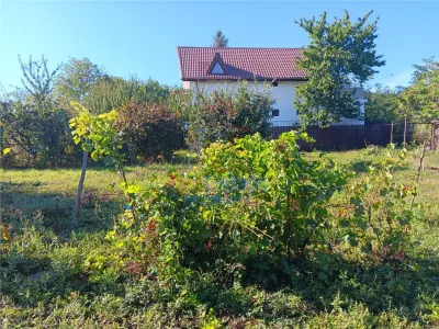 OCAZIE! Str Podisului  TEREN 550mp  intravilan utilitati aproape lot de casa - foto 2
