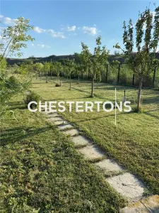 Vila exclusivista formata din 4 cladiri si balta amenajata, Baldovinesti -Braila, ideal investitie. - foto 14