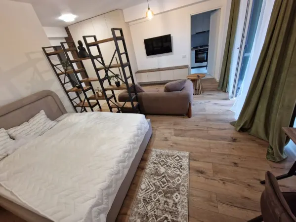 Apartament 1 camera Iași - poza 3