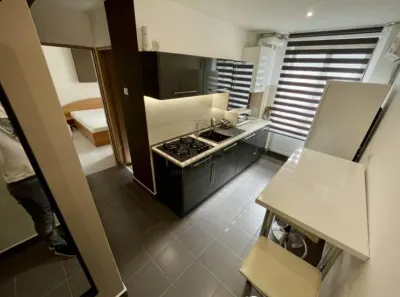 Complex, apartament 2 camere, decomandat, renovat, centrala proprie, clima - foto 3