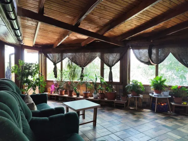 Casă 4 camere Bors - poza 24