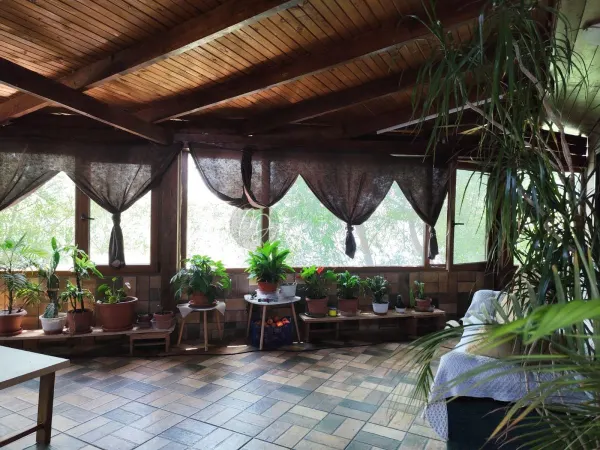 Casă 4 camere Bors - poza 25