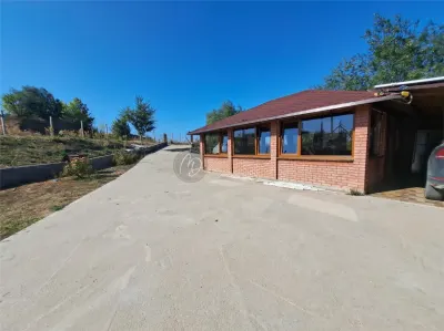 MDI Casa din busteni cu balta - foto 5
