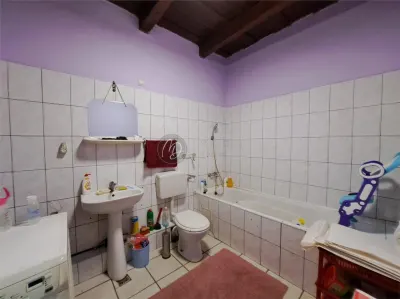 MDI casa cu dublu front stradal la Saniob - foto 7