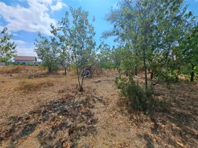 MDI teren intravilan Paleu 772 mp - foto 5