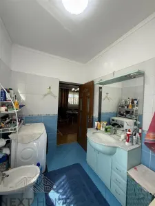 Casă 3 camere Botarlau - poza 28