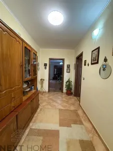 Casă 3 camere Botarlau - poza 29