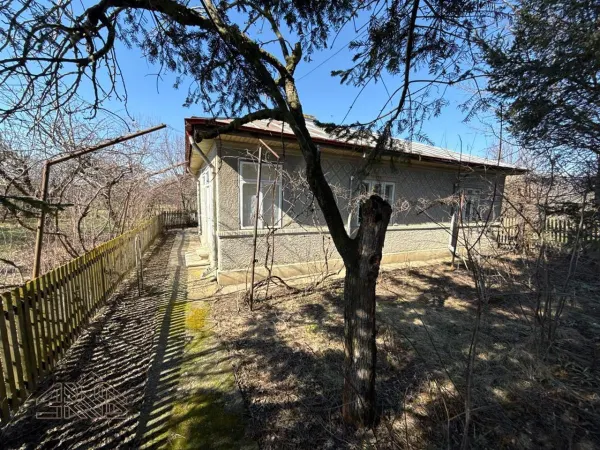 Casă 5 camere Bordeasca Noua - poza 3