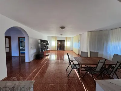 Casa P+M de Vanzare | 450 mp Utili | Teren 13.486 mp | Livada cu 359 Nuci | Vulturu, Vrancea - foto 17