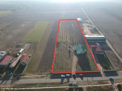 Casa P+M de Vanzare | 450 mp Utili | Teren 13.486 mp | Livada cu 359 Nuci | Vulturu, Vrancea - foto 4