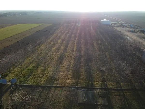 Casă 6 camere Botarlau - poza 5