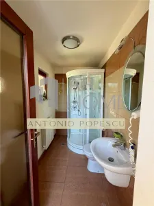 Casa 4 camere plus dependinte, in Ploiesti, zona centrala. - foto 22
