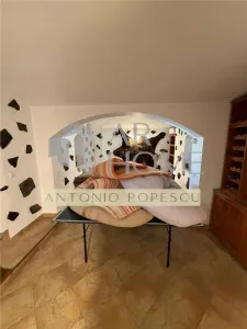 Casa 4 camere plus dependinte, in Ploiesti, zona centrala. - foto 25