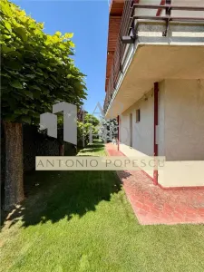 Casa 4 camere plus dependinte, in Ploiesti, zona centrala. - foto 5