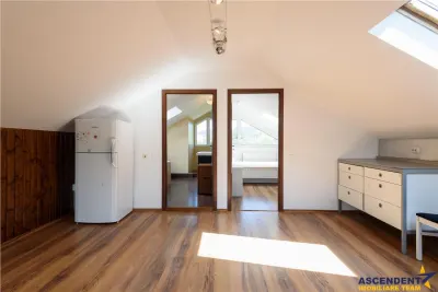 Proprietate privilegiata, in armonie cu natura, Sacele - foto 23